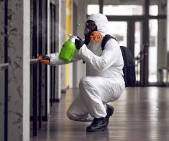 Reliable East Syracuse, NY Mold Inspection Solutions